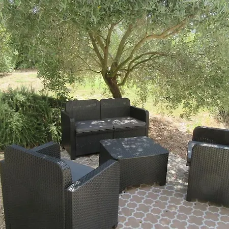 Lumineux Deux Pieces En Rez De Jardin Appartamento